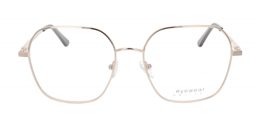 Optical Eyewear MOD248 C1