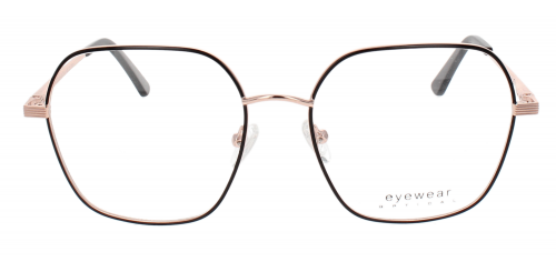 Optical Eyewear MOD248 C1