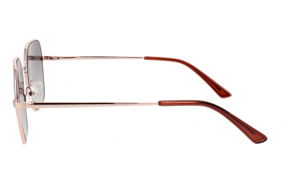 Optical Eyewear MOD248/S C2