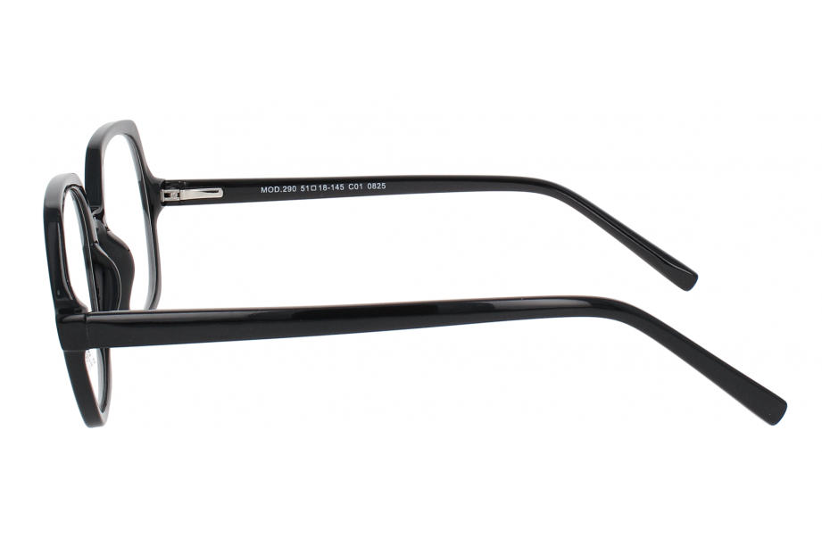 Optical Eyewear MOD290 C1