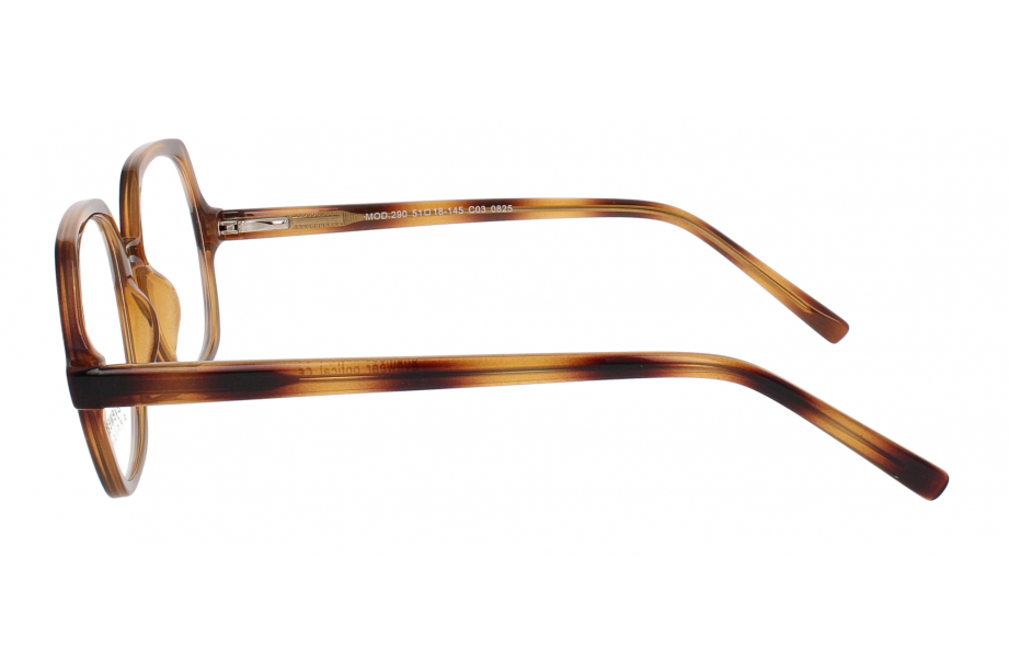 Optical Eyewear MOD290 C3