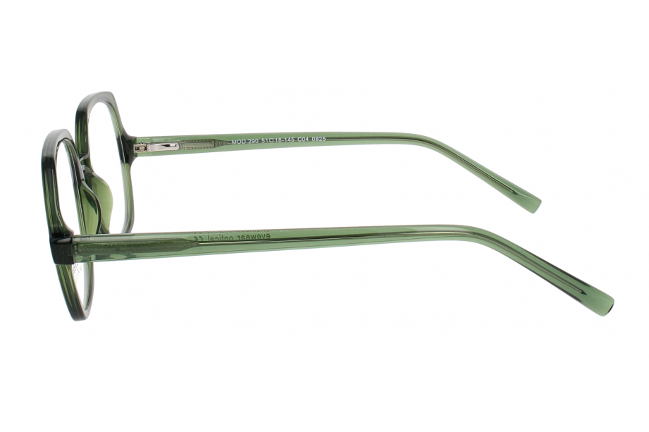 Optical Eyewear MOD290 C4