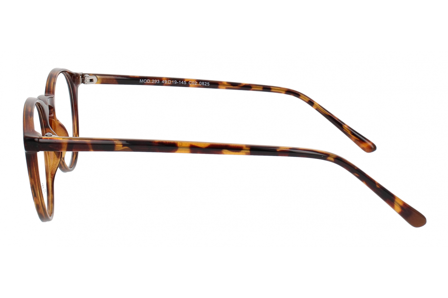Optical Eyewear MOD293 C2