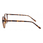 Optical Eyewear MOD293 C2