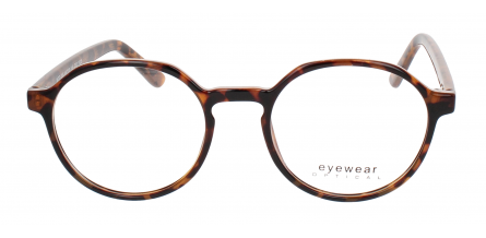 Optical Eyewear MOD295 C2
