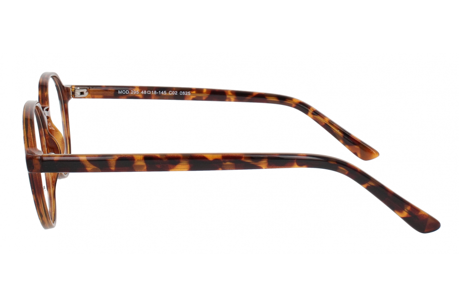 Optical Eyewear MOD295 C2