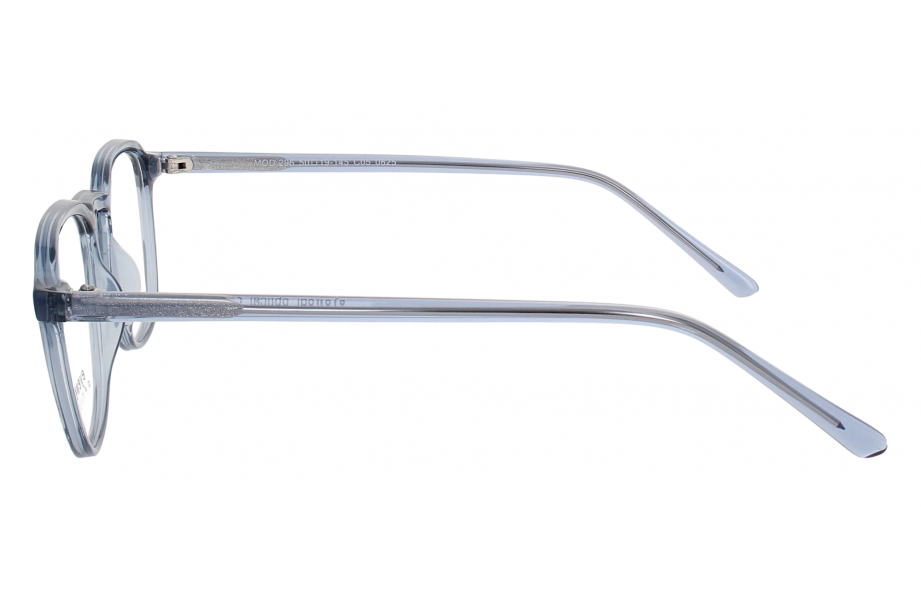 Optical Eyewear MOD296 C5