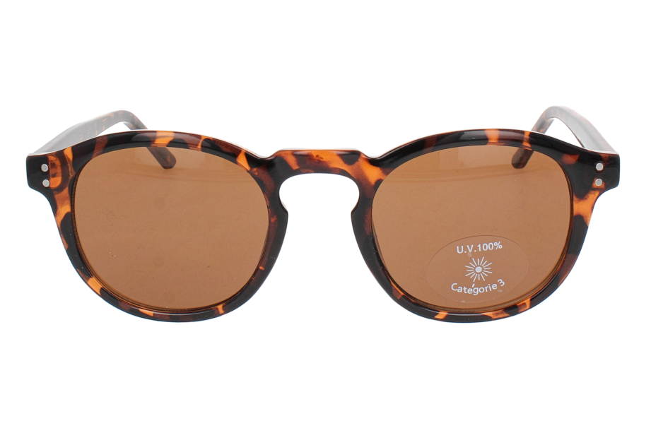 Optical Eyewear MOD286 C2