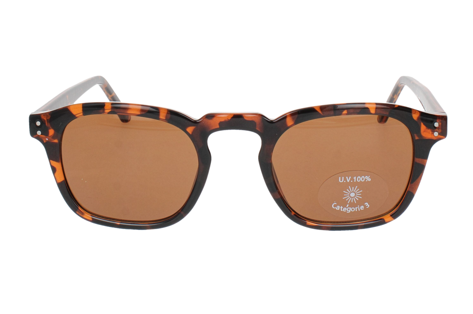 Optical Eyewear MOD287 C2