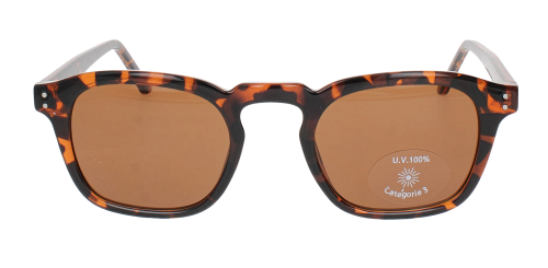 Optical Eyewear MOD287 C2