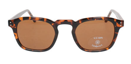 Optical Eyewear MOD287 C2