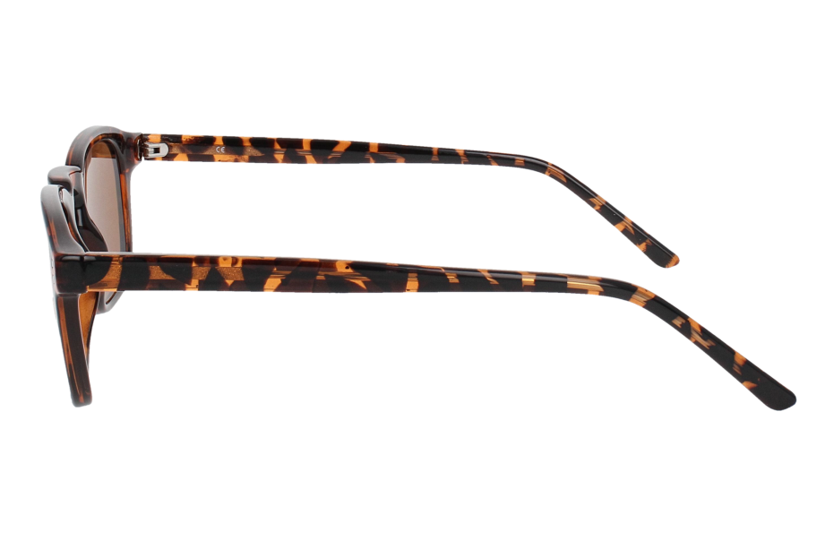 Optical Eyewear MOD287 C2