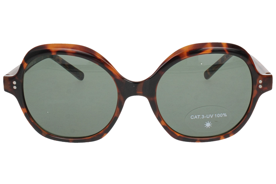 Optical Eyewear MOD256/S C2