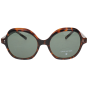 Optical Eyewear MOD256/S C2