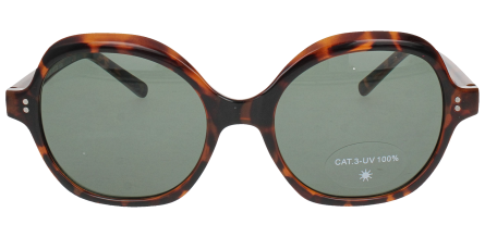 Optical Eyewear MOD256/S C2
