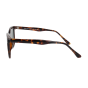 Optical Eyewear MOD278/S C2