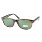 Optical Eyewear MOD801/S