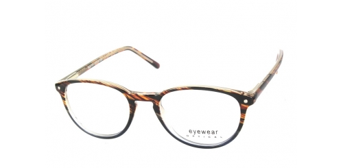 Optical Eyewear MOD101 C1
