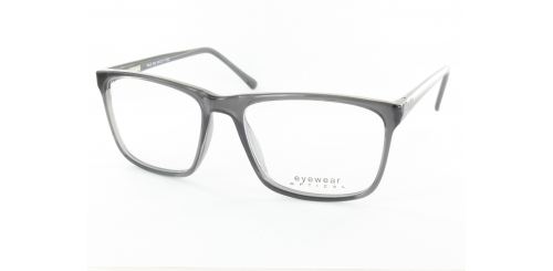 Optical Eyewear MOD100P C1