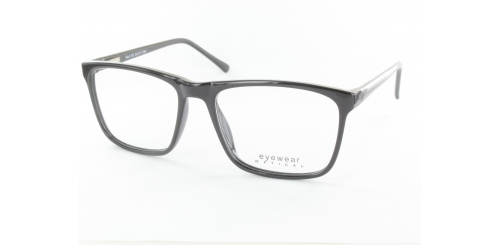 Optical Eyewear MOD100P C1