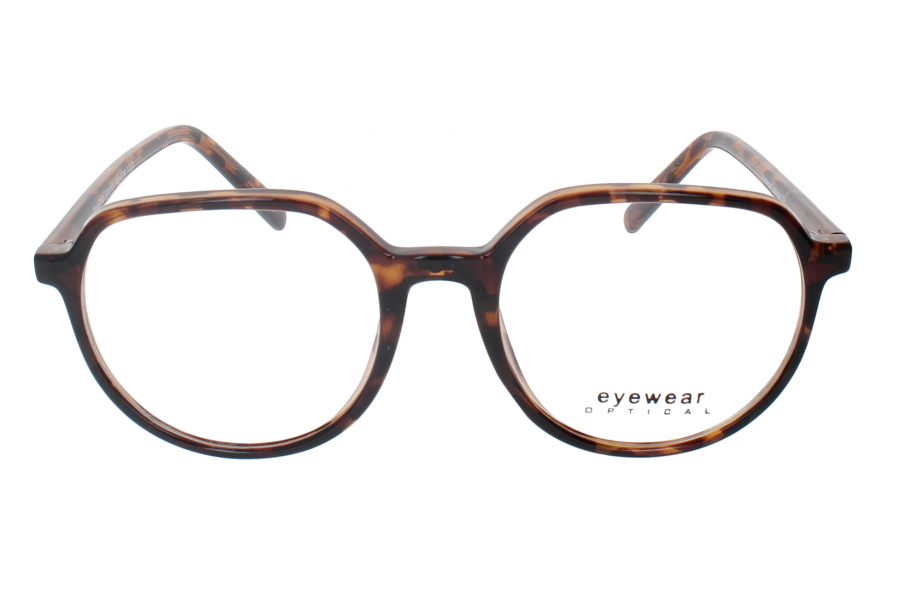 Optical Eyewear MOD210  C4