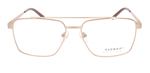 Optical Eyewear MOD233 C2