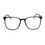 Optical Eyewear MOD121 C4
