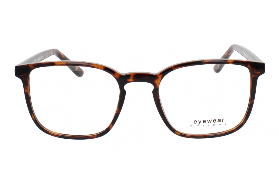 Optical Eyewear MOD243 C2