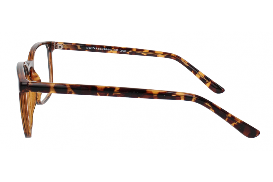 Optical Eyewear MOD243 C2