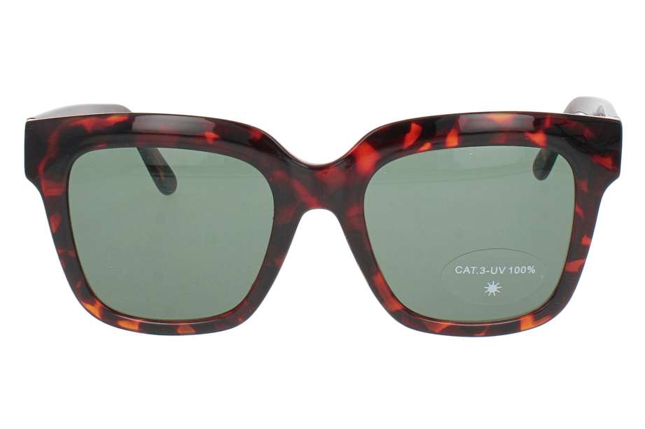 Optical Eyewear Solaire MOD221 C2