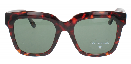 Optical Eyewear Solaire MOD221 C1
