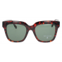 Optical Eyewear Solaire MOD221 C2