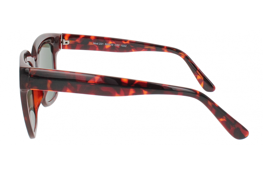 Optical Eyewear Solaire MOD221 C2
