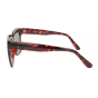 Optical Eyewear Solaire MOD221 C2