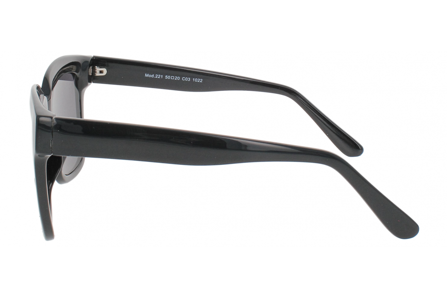 Optical Eyewear Solaire MOD221 C3