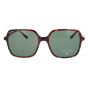 Optical Eyewear Solaire MOD224 C2