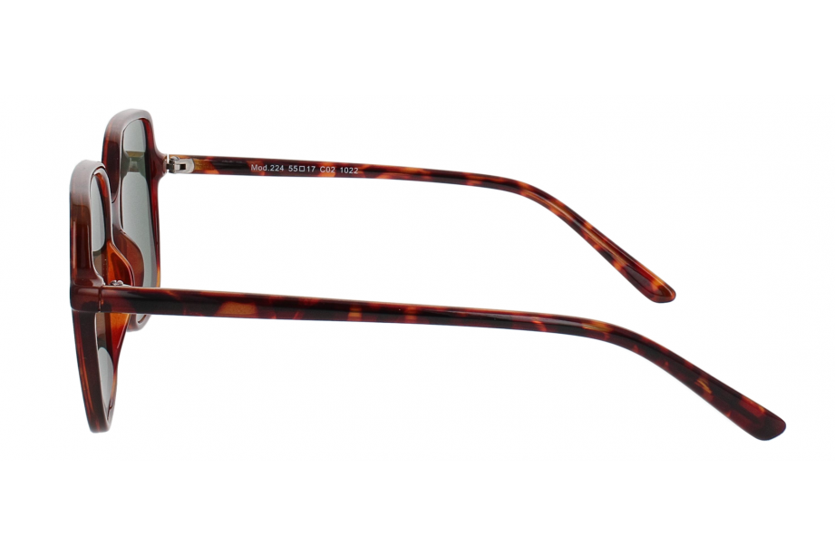 Optical Eyewear Solaire MOD224 C2