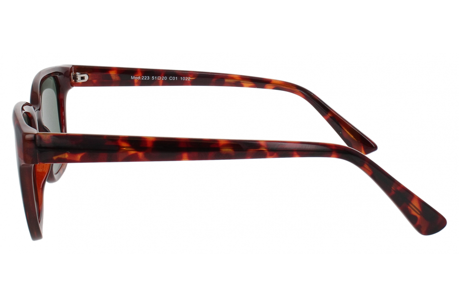 Optical Eyewear Solaire MOD223 C1