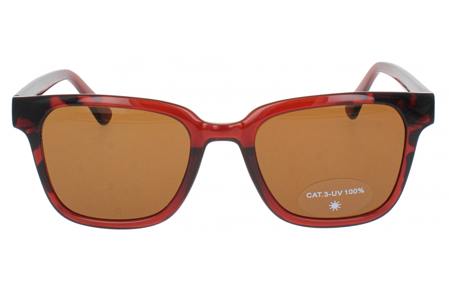 Optical Eyewear Solaire MOD223 C4