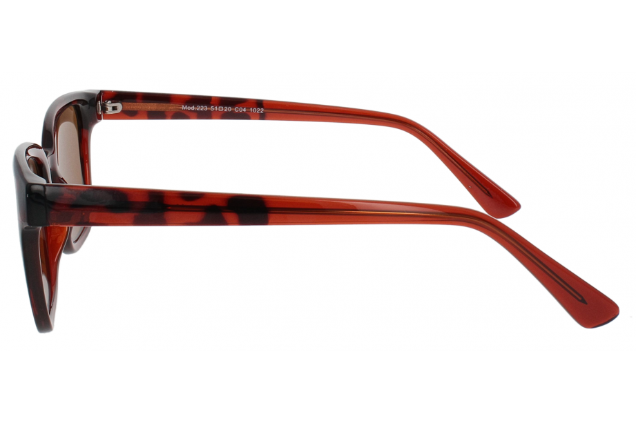 Optical Eyewear Solaire MOD223 C4