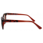 Optical Eyewear Solaire MOD223 C4