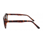 Optical Eyewear Solaire MOD226 C2
