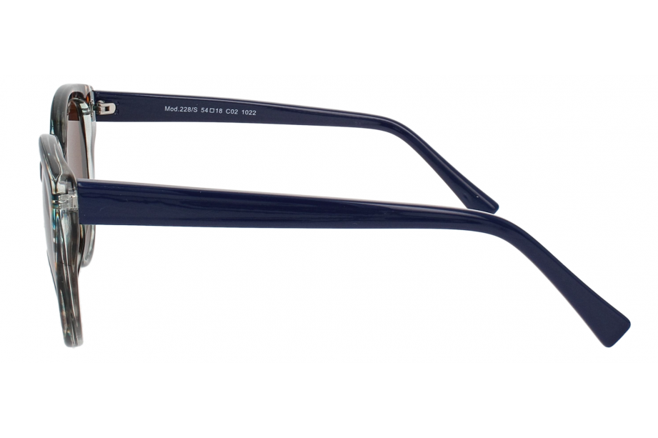 Optical Eyewear MOD228/S C2