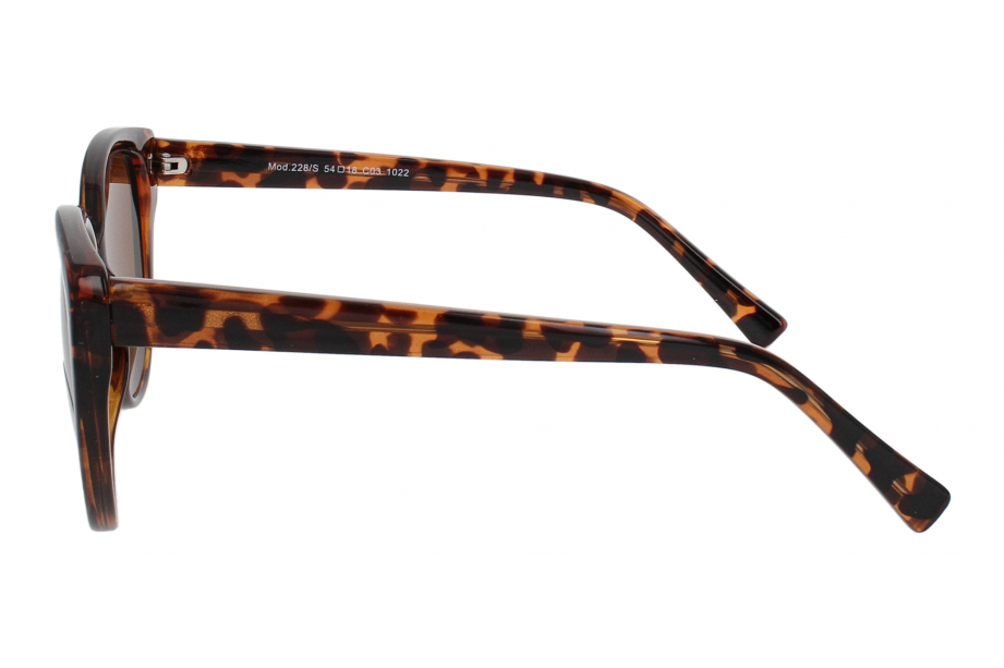 Optical Eyewear MOD228/S C3