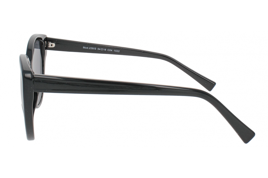Optical Eyewear MOD228/S C4