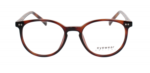 Optical Eyewear MOD107 C4