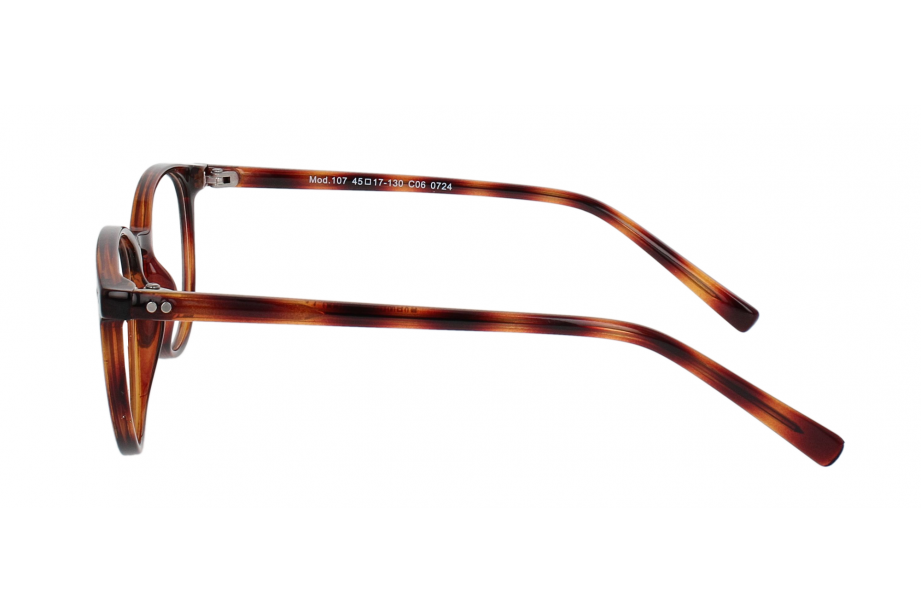 Optical Eyewear MOD107 C6