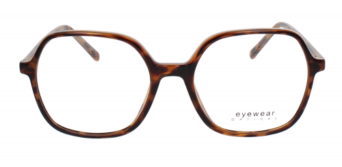 Optical Eyewear MOD251 C1