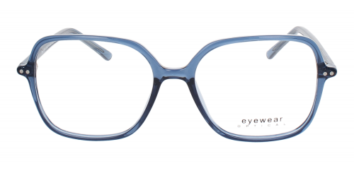 Optical Eyewear MOD250 C1