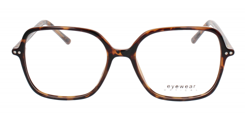 Optical Eyewear MOD250 C1